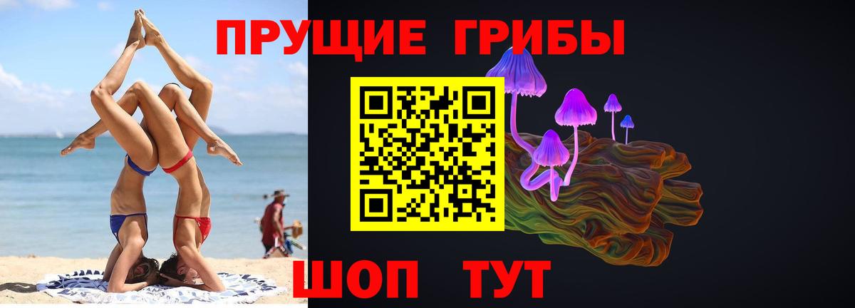 Псилоцибиновые грибы Psilocybe Добрянка